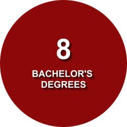 Bachelor's Degrees