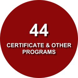 Certificate & Other Programs